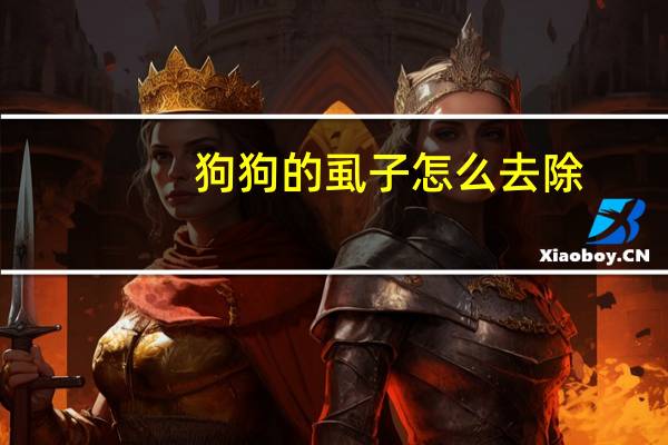 狗狗的虱子怎么去除