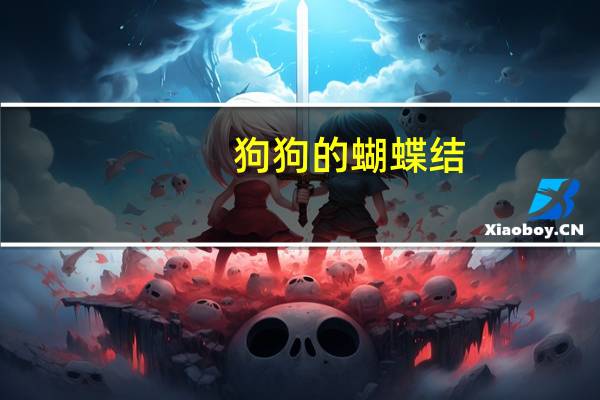 狗狗的蝴蝶结