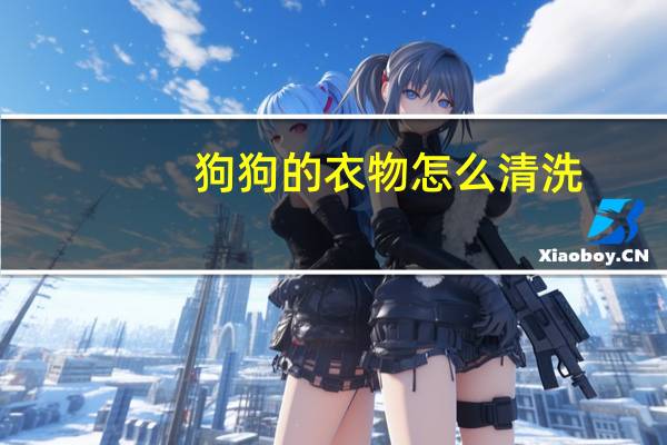 狗狗的衣物怎么清洗
