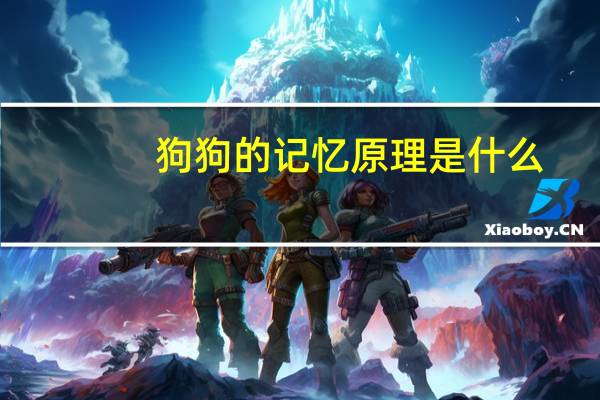 狗狗的记忆原理是什么
