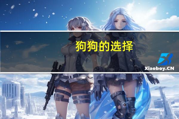 狗狗的选择