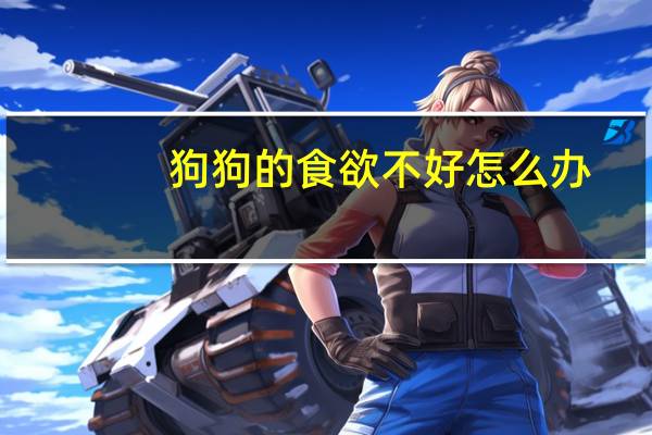 狗狗的食欲不好怎么办