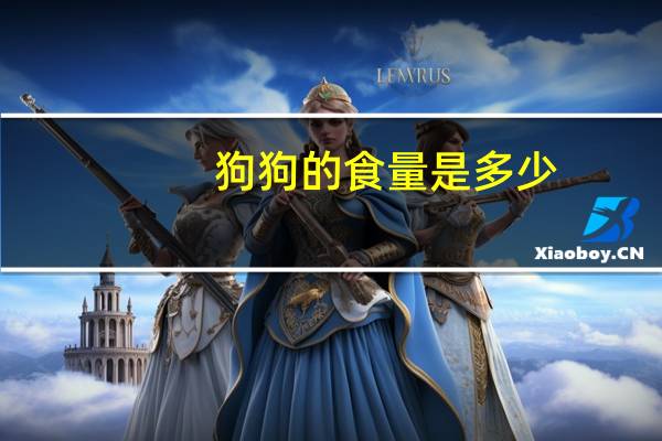狗狗的食量是多少