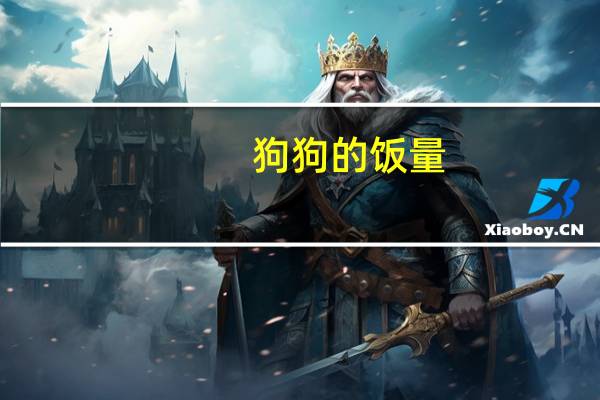 狗狗的饭量