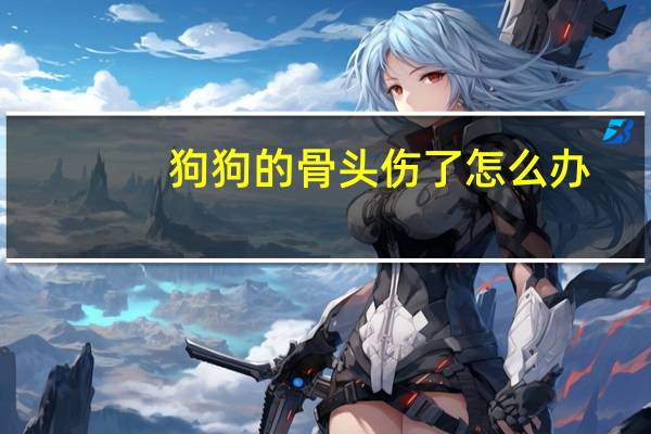 狗狗的骨头伤了怎么办