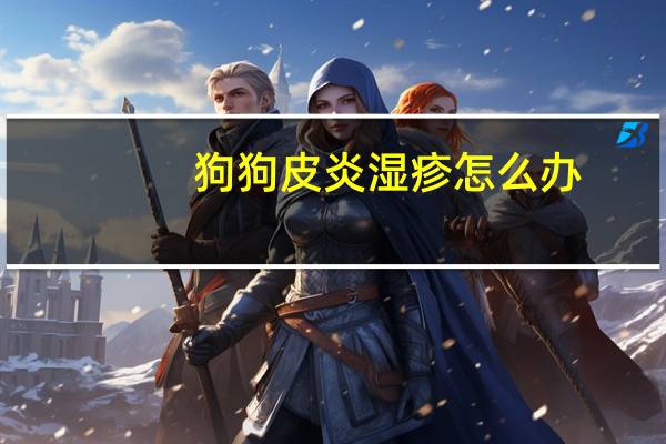 狗狗皮炎湿疹怎么办