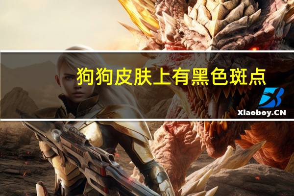 狗狗皮肤上有黑色斑点