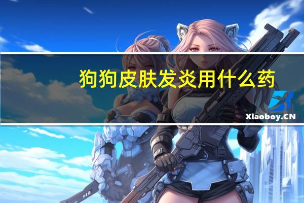 狗狗皮肤发炎用什么药
