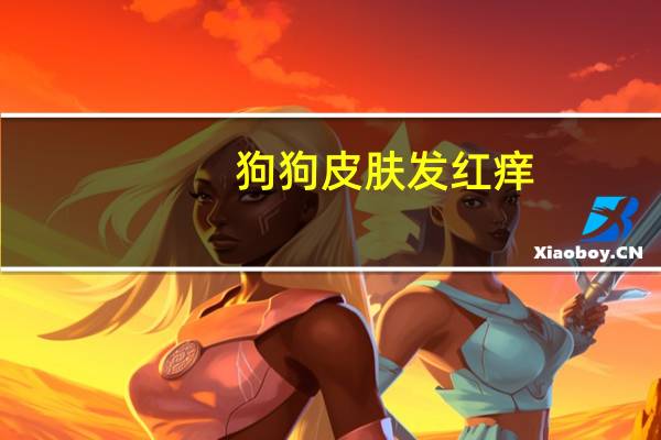 狗狗皮肤发红痒