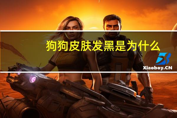 狗狗皮肤发黑是为什么