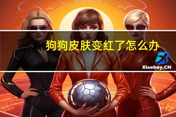 狗狗皮肤变红了怎么办