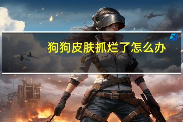 狗狗皮肤抓烂了怎么办