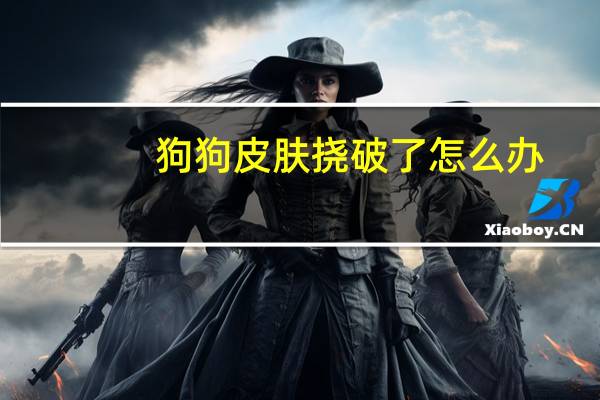 狗狗皮肤挠破了怎么办
