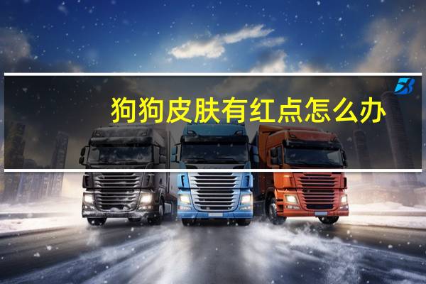 狗狗皮肤有红点怎么办