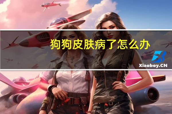 狗狗皮肤病了怎么办