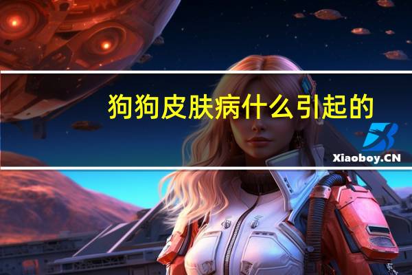狗狗皮肤病什么引起的