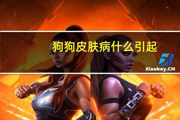 狗狗皮肤病什么引起