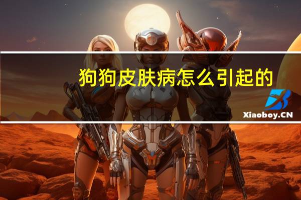 狗狗皮肤病怎么引起的