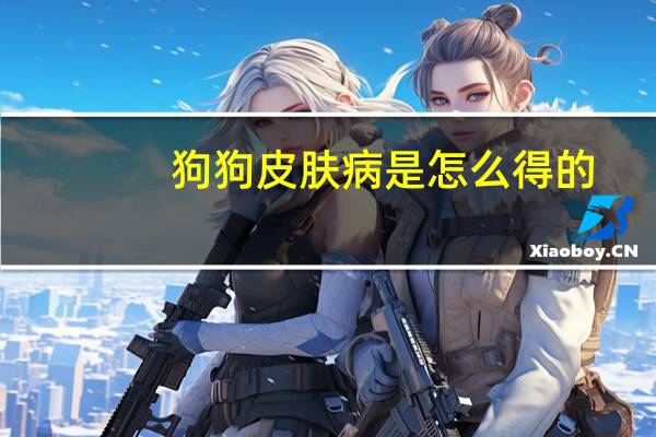 狗狗皮肤病是怎么得的
