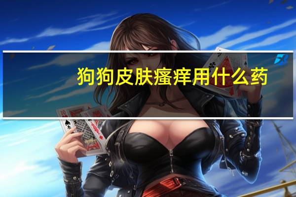 狗狗皮肤瘙痒用什么药