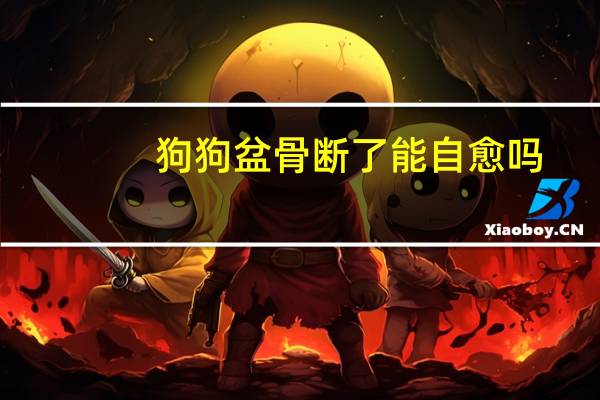 狗狗盆骨断了能自愈吗