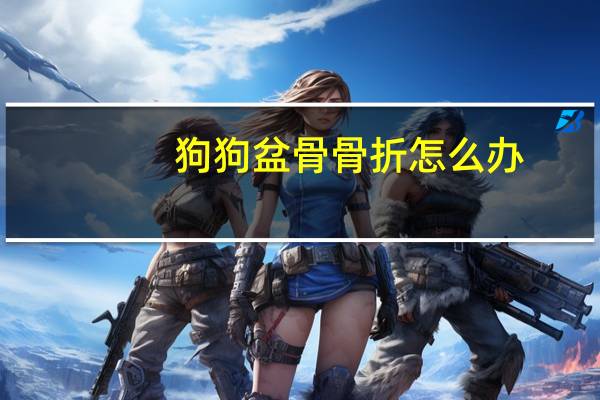 狗狗盆骨骨折怎么办