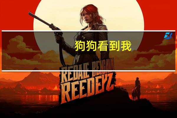 狗狗看到我