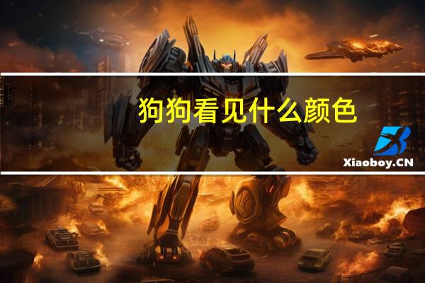 狗狗看见什么颜色