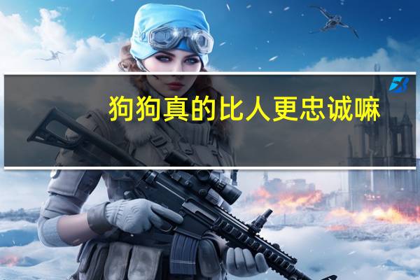 狗狗真的比人更忠诚嘛
