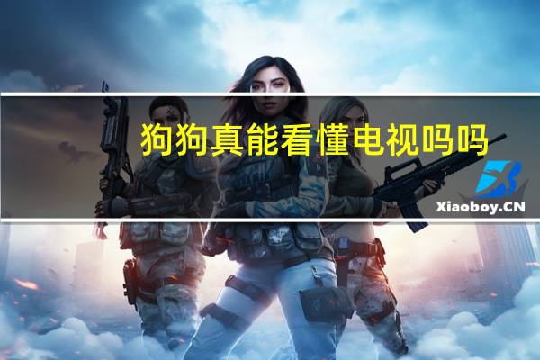狗狗真能看懂电视吗吗