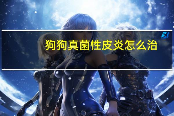 狗狗真菌性皮炎怎么治