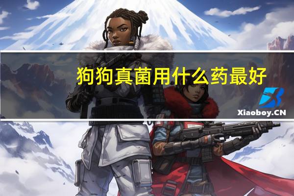 狗狗真菌用什么药最好