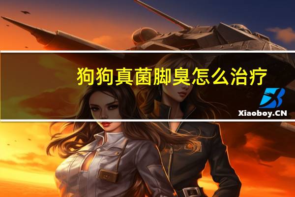 狗狗真菌脚臭怎么治疗