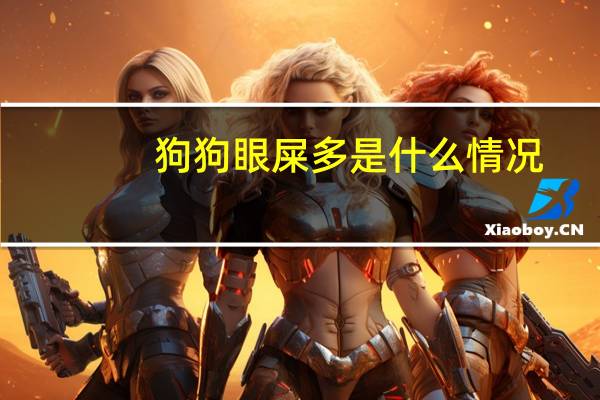 狗狗眼屎多是什么情况