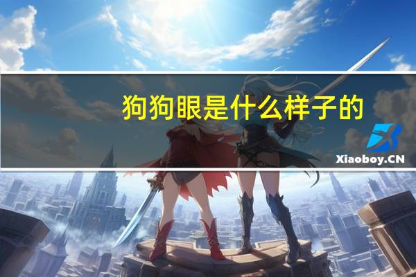 狗狗眼是什么样子的