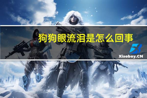 狗狗眼流泪是怎么回事