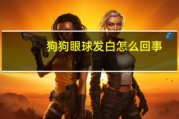 狗狗眼球发白怎么回事