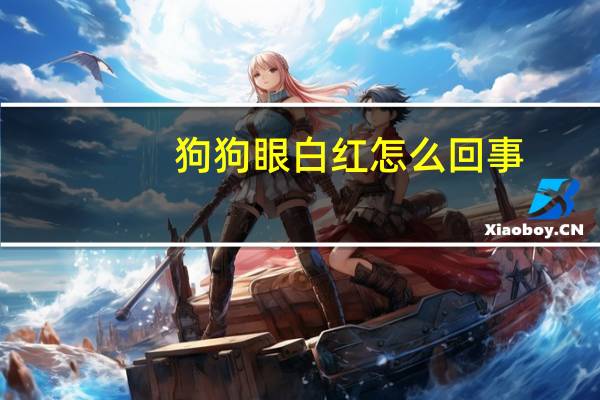 狗狗眼白红怎么回事