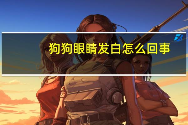 狗狗眼睛发白怎么回事