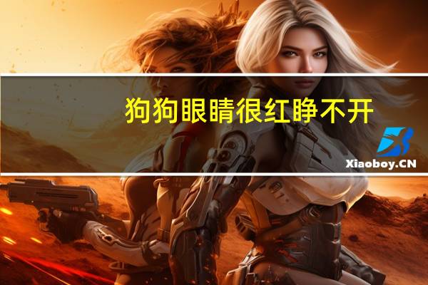 狗狗眼睛很红睁不开