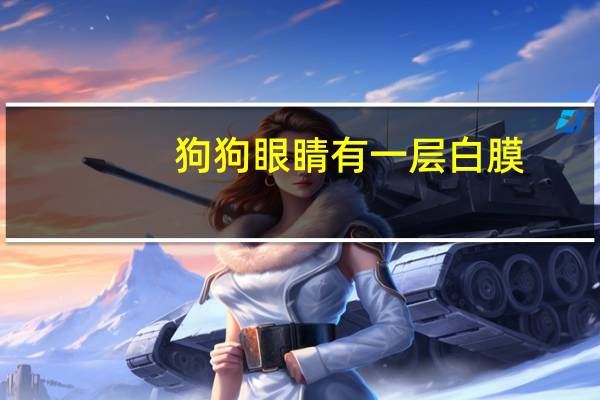 狗狗眼睛有一层白膜