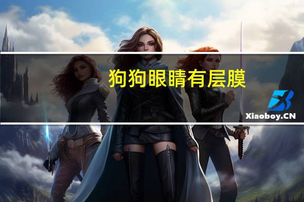 狗狗眼睛有层膜