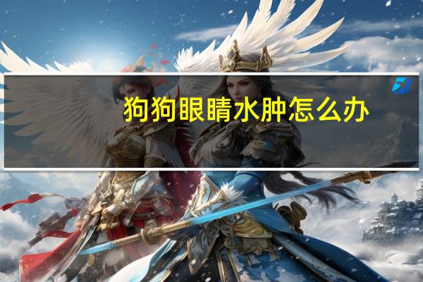 狗狗眼睛水肿怎么办