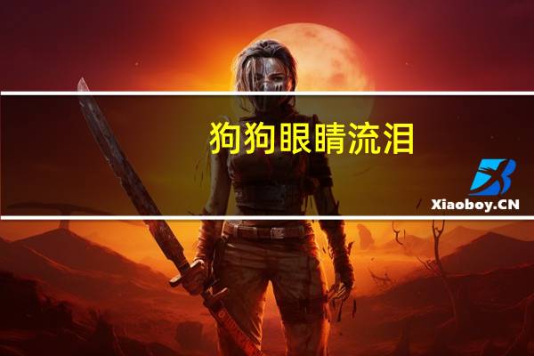 狗狗眼睛流泪