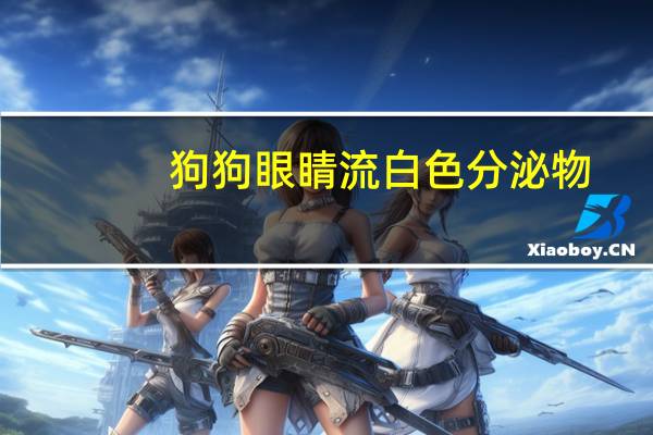 狗狗眼睛流白色分泌物