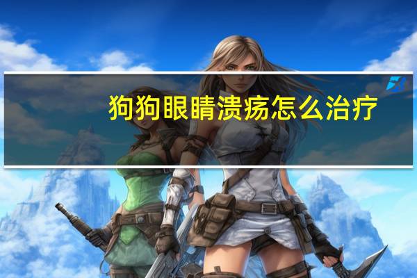 狗狗眼睛溃疡怎么治疗