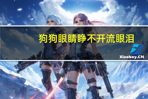 狗狗眼睛睁不开流眼泪