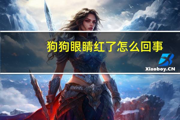 狗狗眼睛红了怎么回事
