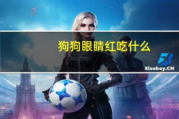 狗狗眼睛红吃什么
