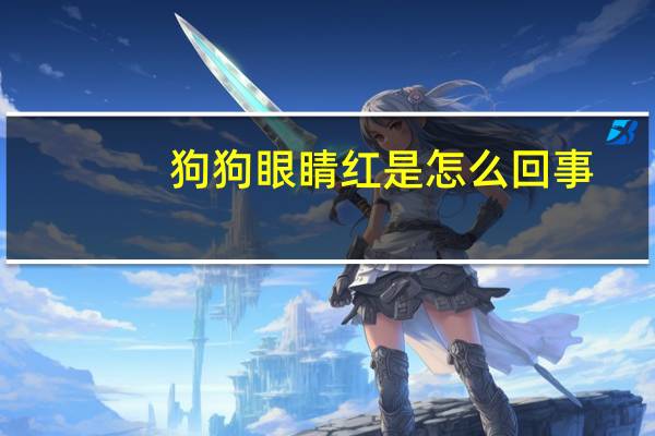 狗狗眼睛红是怎么回事